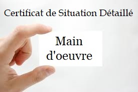 Mo Certificat de Situation Détaillé